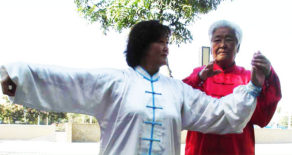 Yang Style Taijiquan-Shaohua